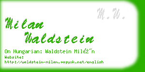 milan waldstein business card